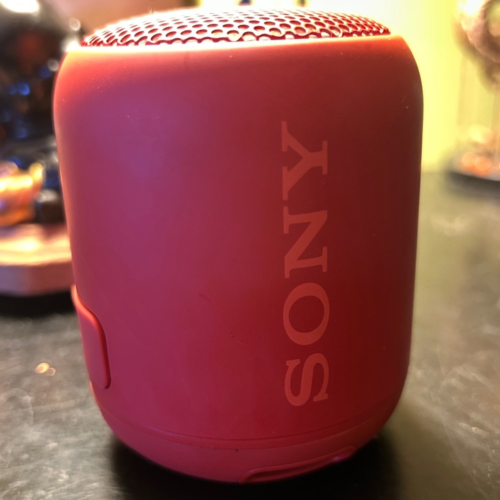 Sony XB12 Waterproof Wireless Speaker